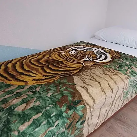 Cajt Apartment Umag